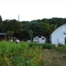 흰돌농장 이미지