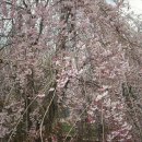 마리중학교 이미지