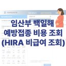 김가정 | 임산부 백일해 예방접종 비용 비교 방법 (HIRA 비급여 조회)
