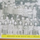 화현초교 Daum카페