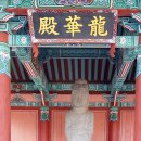 상그린로 이미지