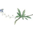 아우내생고기 이미지