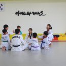 아이스타 태권도 이미지