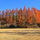 로하스대청공원 이미지