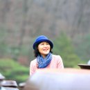 제주도화 이미지