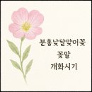 낮 이미지