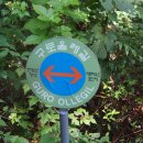 올레길 산림형 3코스 이미지