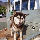 삼부연로 이미지