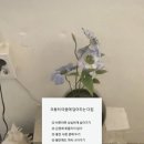 멍멍멍 - 서귀포시 현청로 51 | 멍멍멍