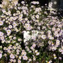 둔덕동주민자치센터 이미지