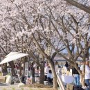 구례로선 이미지