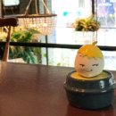 메디홈케어 이미지