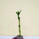 키즈창작아트