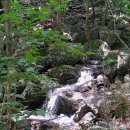 논실농원 | 산행후기_mr.j 92 광양 백운산 어치계곡, 상봉, 신선대 2