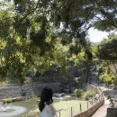 경남 진주 가볼만한곳 🌿 월아산 수국수국페스티벌 + 짚라인 체험 후기