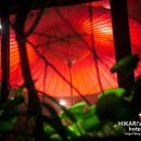 여명카써비스 이미지