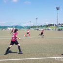중동축구장 데일리한국