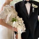 아브니르 이미지