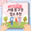 양화로 140 홍대사거리 (문화게시판 13-1옆) | 봄 꽃길 173선, 서울시 꽃구경 장소 추천!