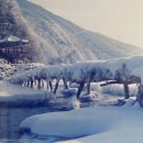 아우라지식당 이미지