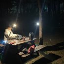 망상오토캠핑리조트 제2오토캠핑장 네이버블로그