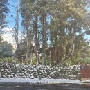 효돈천 | [국내여행]제주 여행 7일차, 멋진 풍경 가득한 제주 올레길 6코스 완주!