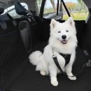 편안하개 | [국내여행]양평 편안하개 애견동반 펜션/혬똘네와 함께 고고