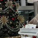 (1:1레슨)첼로 개인레슨(30분) 이미지