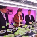 일명농장 이미지