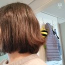 뷰티 노래연습장 이미지