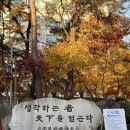 경희사이버대학교 호텔관광대학원 | [척척석사 후기] 세종대학교 관광대학원 및 경희대학교 관광대학원 면접 및 합격 후기