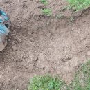 금산1구 이미지