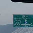 자작나무도서관 이미지