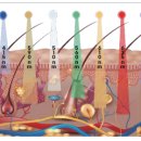 바른코스메디컬 이미지