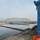 광명펜션 이미지