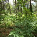 양지농장2 이미지