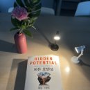 커브라인 이미지