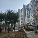 동천본동 이미지