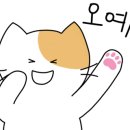농업회사법인초록에주식회사 이미지