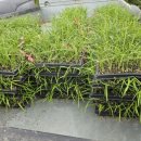 재용농장 이미지