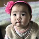 다은협동조합 | [쌍둥이 육아] 아기 첫치즈 , 아기 첫 동화책 추천, 입술 유아 혈관종 검딘과 독감주사 그리고 8개월 일상
