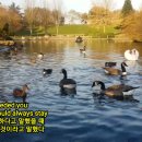 Dusty Springfield - You Don't Have To Say You Love Me 이미지