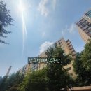 압구정-115 이미지