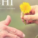 주식회사 다가치 이미지