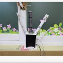 생명나무유치원 이미지