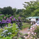 동광리-6 이미지