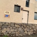 함덕, 수형 이미지