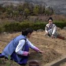 소현농장 네이버블로그