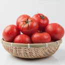 토마토 - 부평구 주부토로22번길 10-1 | 토마토
