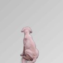 애견나라 이미지